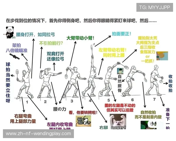 羽毛球规则更新与实施：全面解析与影响分析