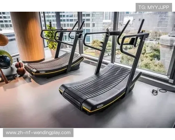 进口健身器材品牌DV在体育健身市场中的竞争力分析